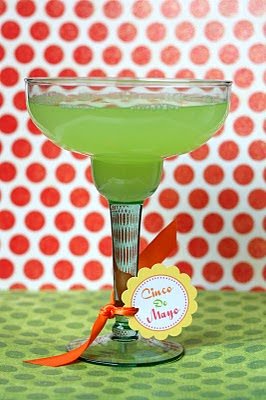 TomKat Studio Cinco de Mayo circles