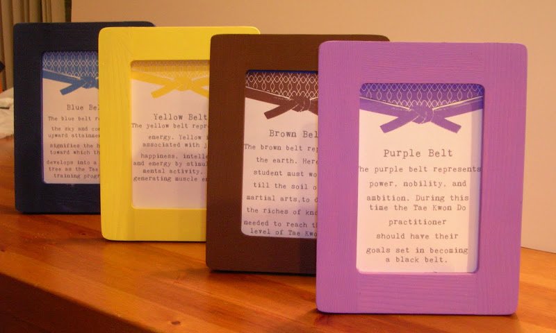 tae kwon do party frames