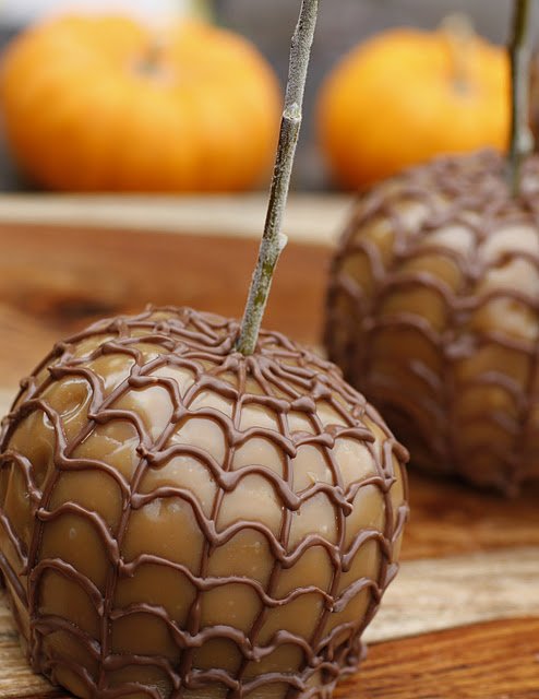 caramel apple creations spider web apples