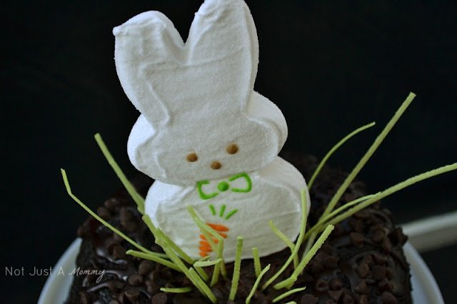 Easy Easter Cake Decorating + Exciting News