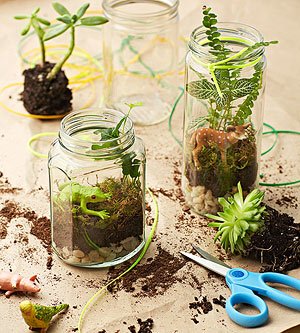 Earth Day Parents green carnival terrarium
