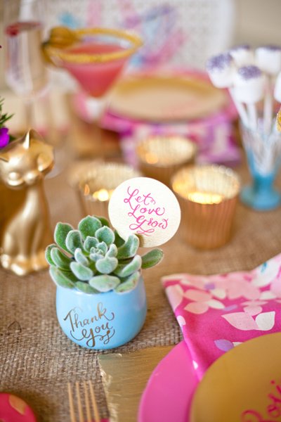 Earth Day succulent favors
