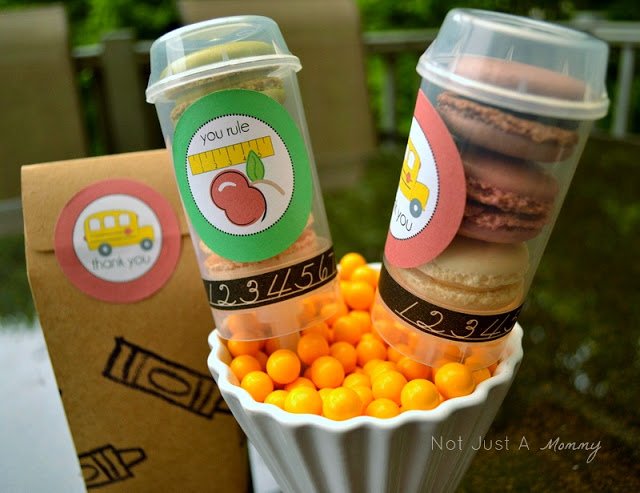 Trader Joe macarons push pop containers