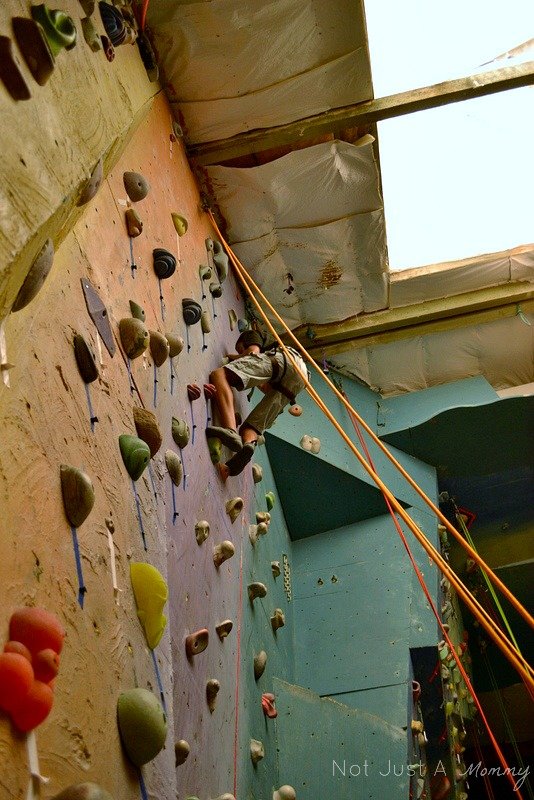 We Go Wednesday – Vertical World