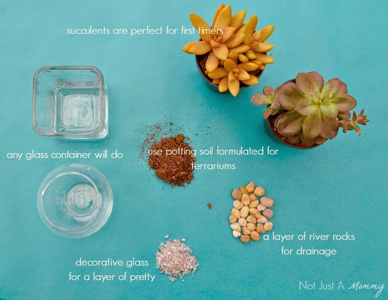 Earth Day DIY succulent planter