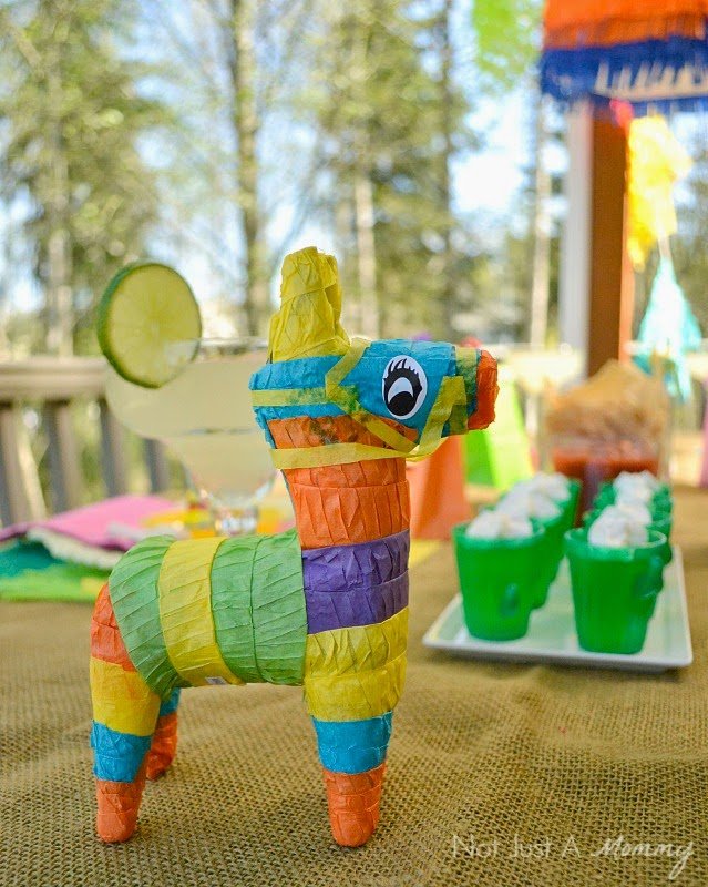 Fiesta Friday/Real Party – Cinco De Mayo Party