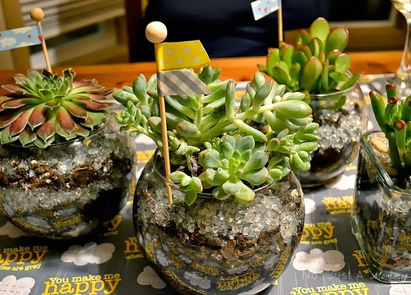 DIY succulent planters