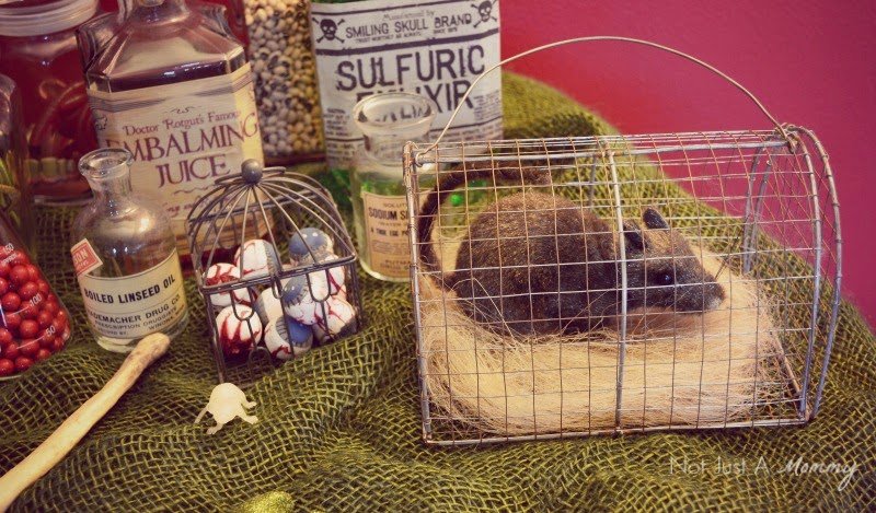 Mad Scientist's Lab Halloween Party decorations