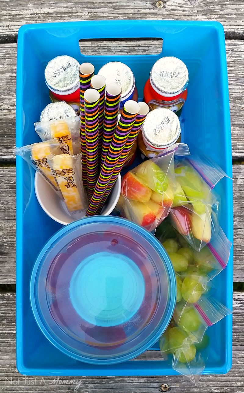 Grab And Go Snack Ideas With Dannon® Danimals® refrigerator bins