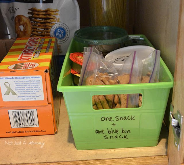 Grab And Go Snack Ideas With Dannon® Danimals® pantry bin