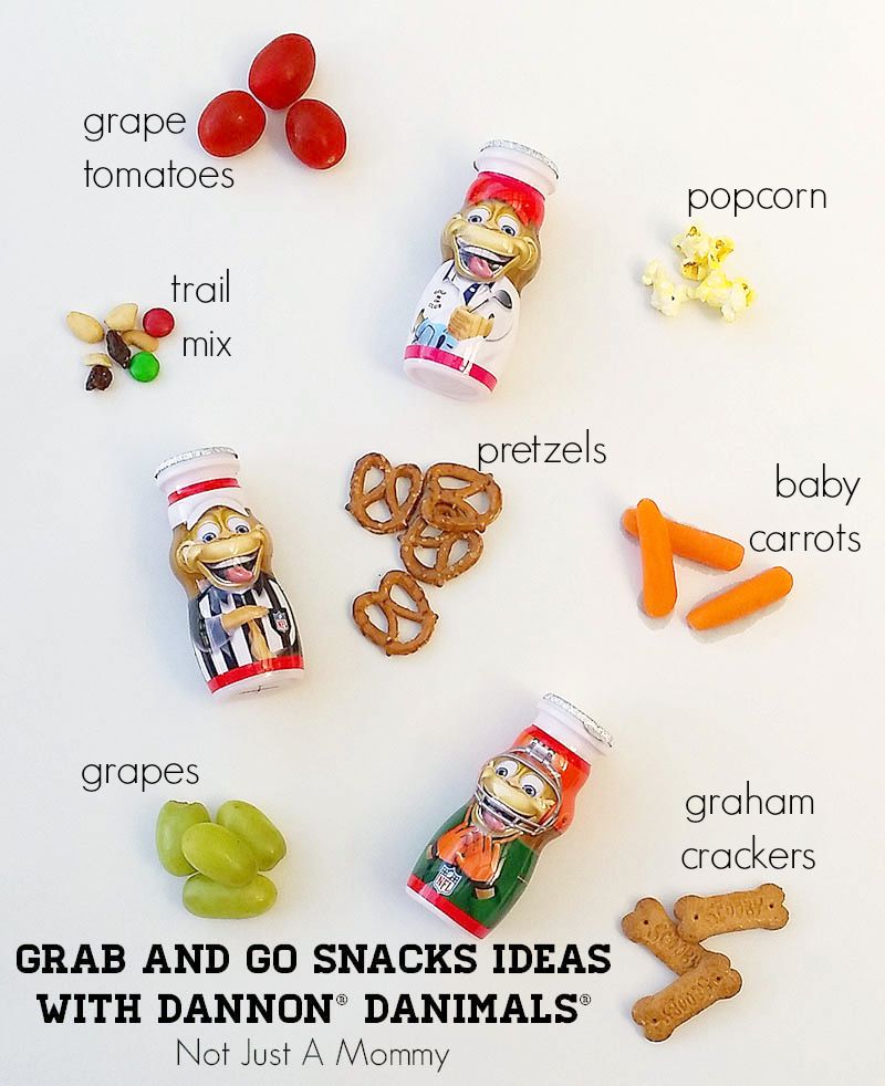 Grab And Go Snack Ideas With Dannon® Danimals®