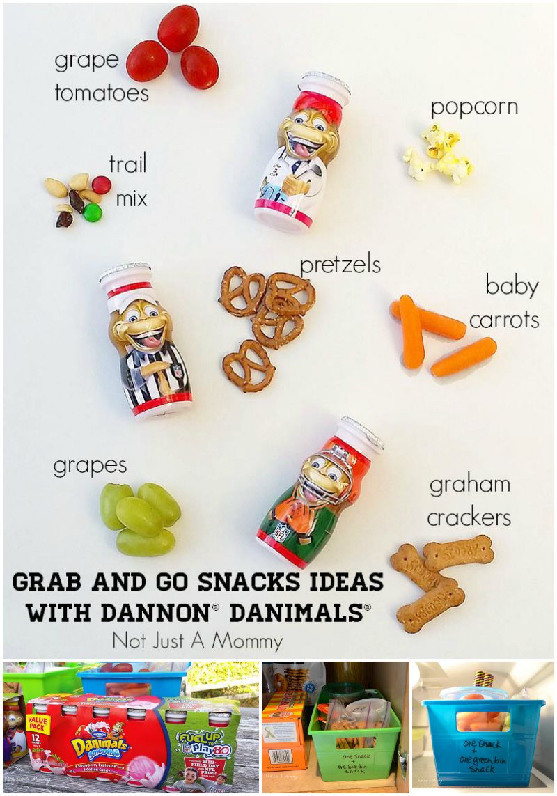 Grab And Go Snack Ideas With Dannon® Danimals® Smoothies
