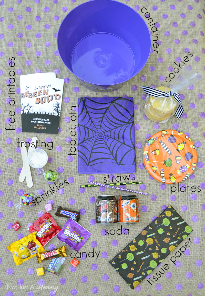 What's inside a BOO It Forward kit...