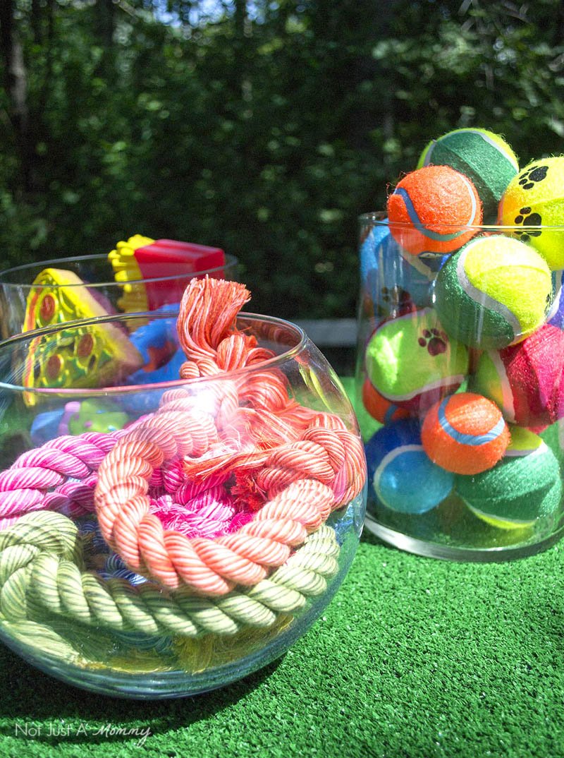 10 Tips For Hosting Your Dog's Barkday Party; doggy toys
