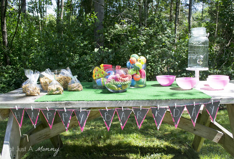 10 Tips For Hosting Your Dog's Barkday Party; party table
