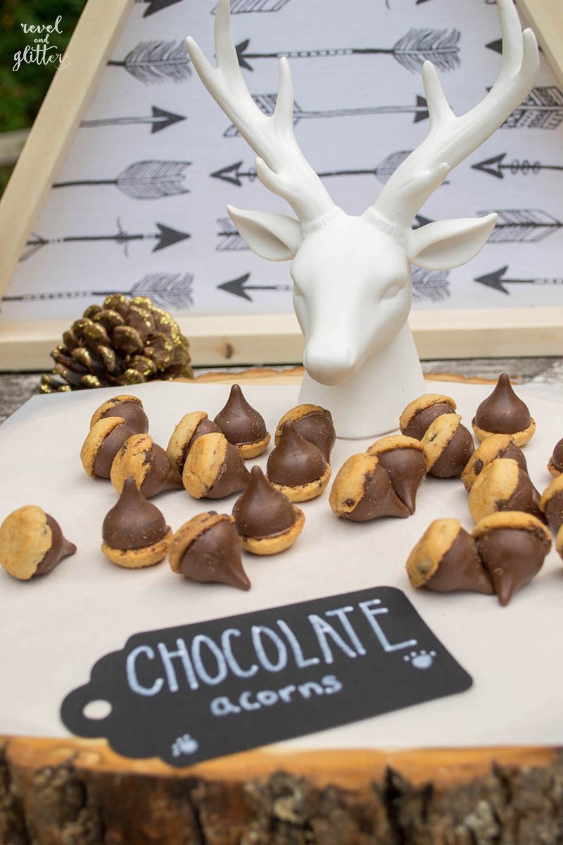 Camp Out Dessert table; cookie acorns