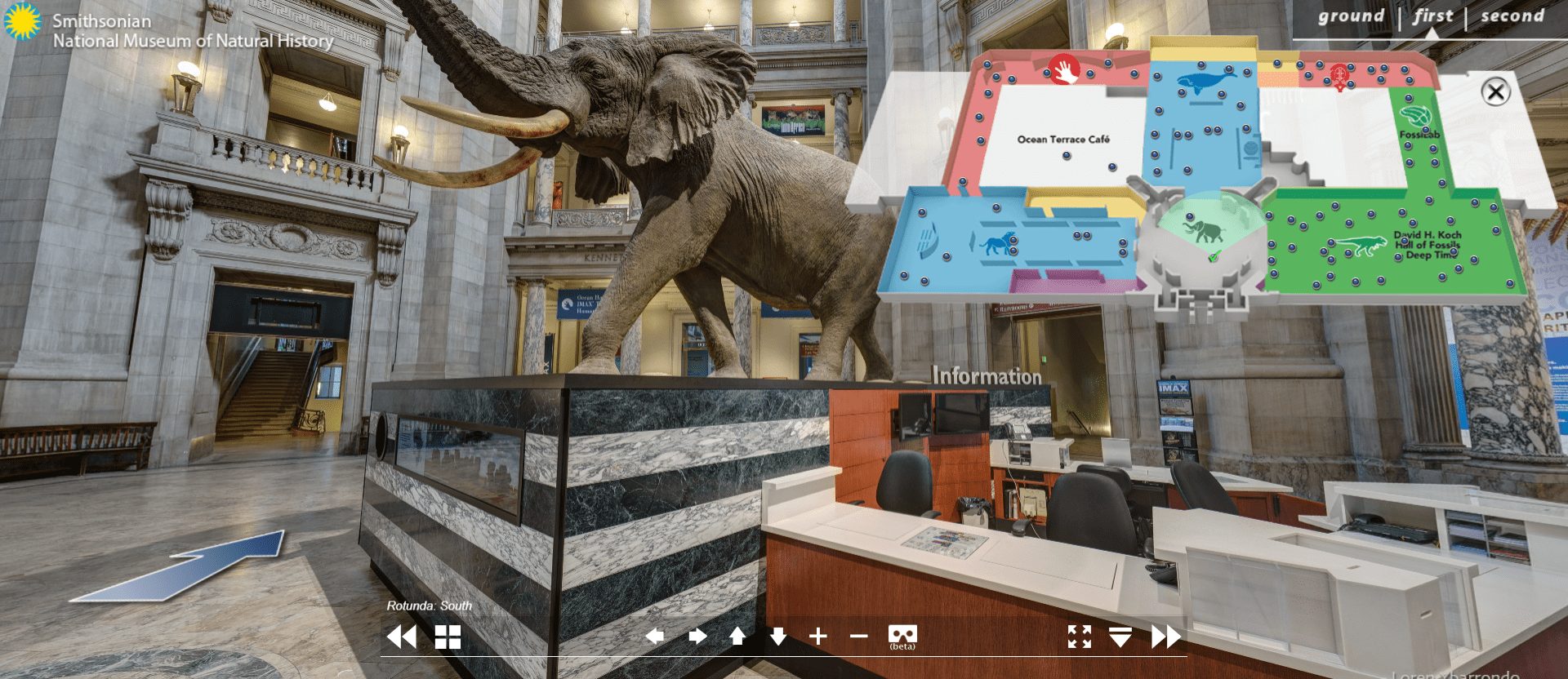 Celebrating During Social Distancing: 10 Party Ideas To Try; virtual tour