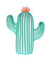 cactusplates