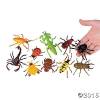 bugs.jpeg